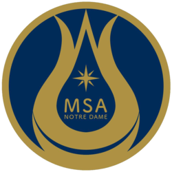 Msa Logo