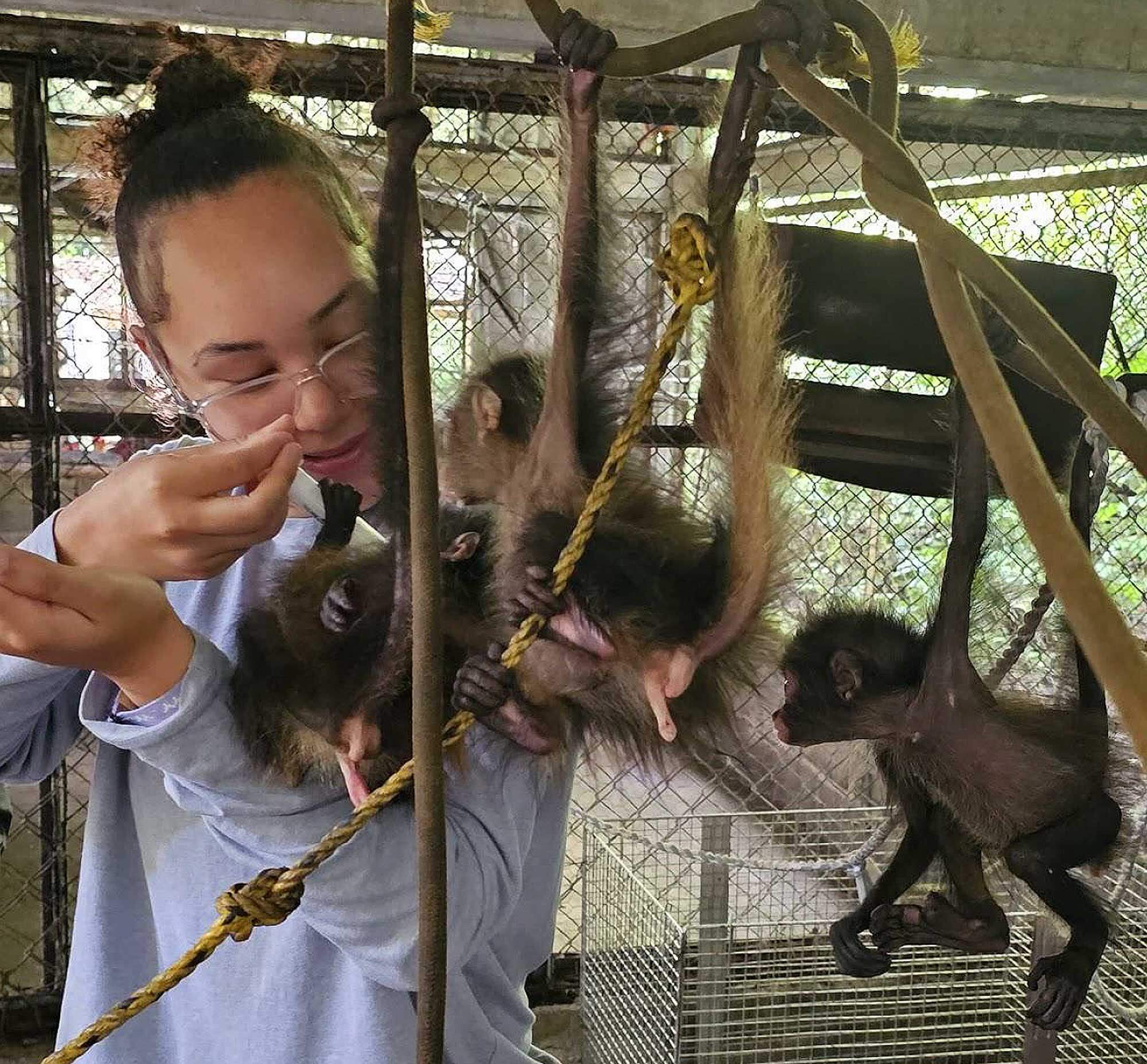 A young woman with glasses and dark hair in a bun, wearing a light blue shirt, gently feeds several small dark-furred monkeys hanging from ropes in an enclosure. One monkey looks toward her.